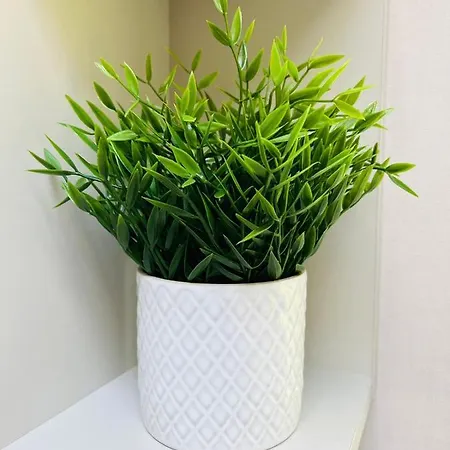 Host & - Sunbird בית נופש יורק